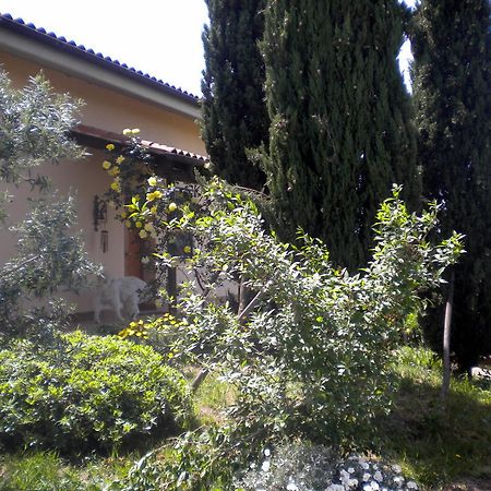 Le Tre Querce Bed and Breakfast Fiano Romano Exteriör bild