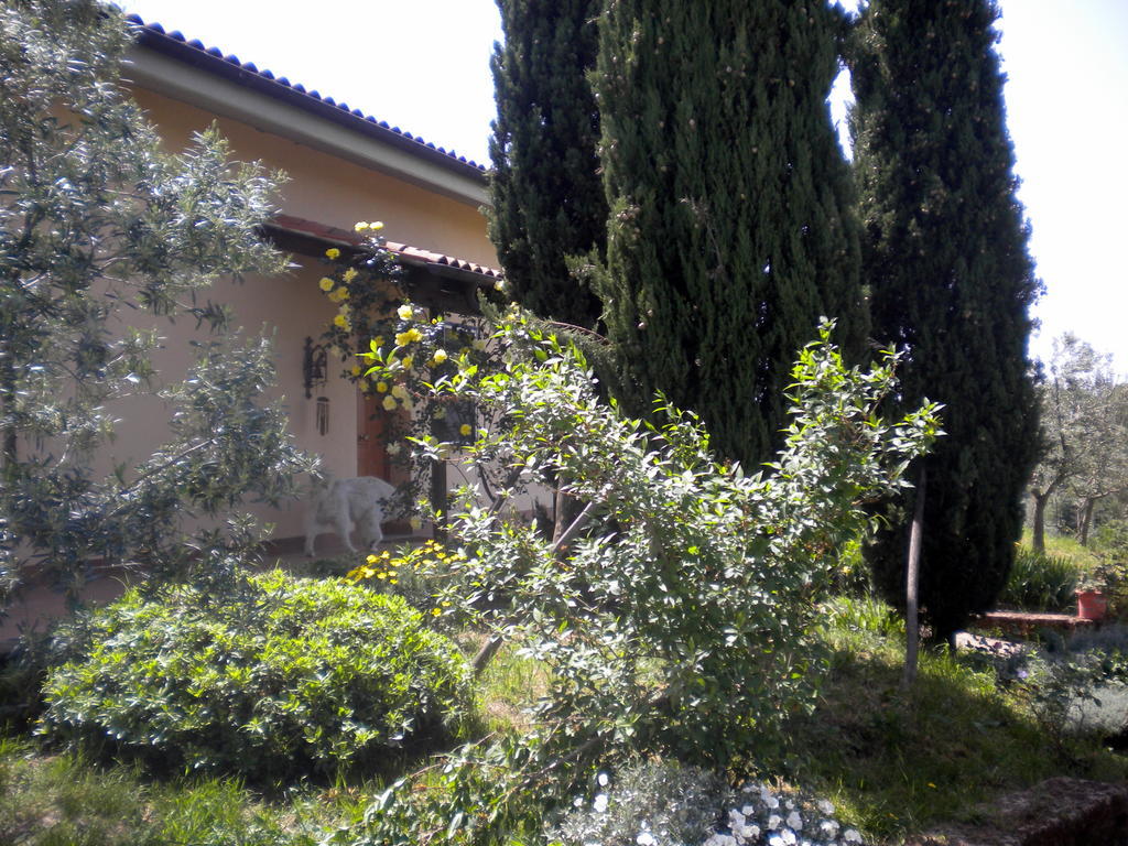Le Tre Querce Bed and Breakfast Fiano Romano Exteriör bild